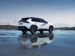 Toyota RAV4 Hybrid Style 2019 года (WW)